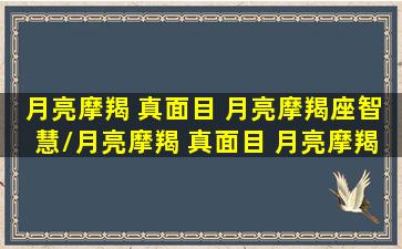 月亮摩羯 真面目 月亮摩羯座智慧/月亮摩羯 真面目 月亮摩羯座智慧-我的网站